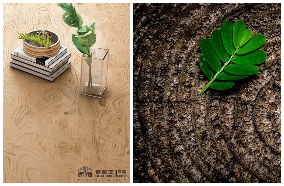 【3.12植树节】|| 木纹系列——把自然气息带回家(图3)